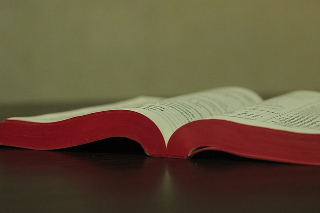 khmer-bible-5562351_640